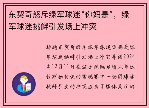东契奇怒斥绿军球迷“你妈是”，绿军球迷挑衅引发场上冲突